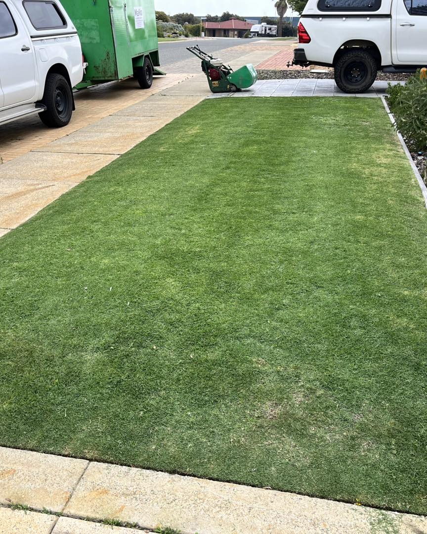 After lawn treatment