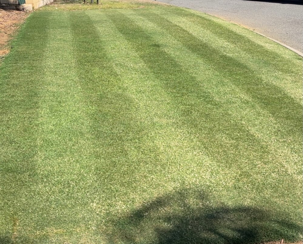 Basic Lawn Maintenance