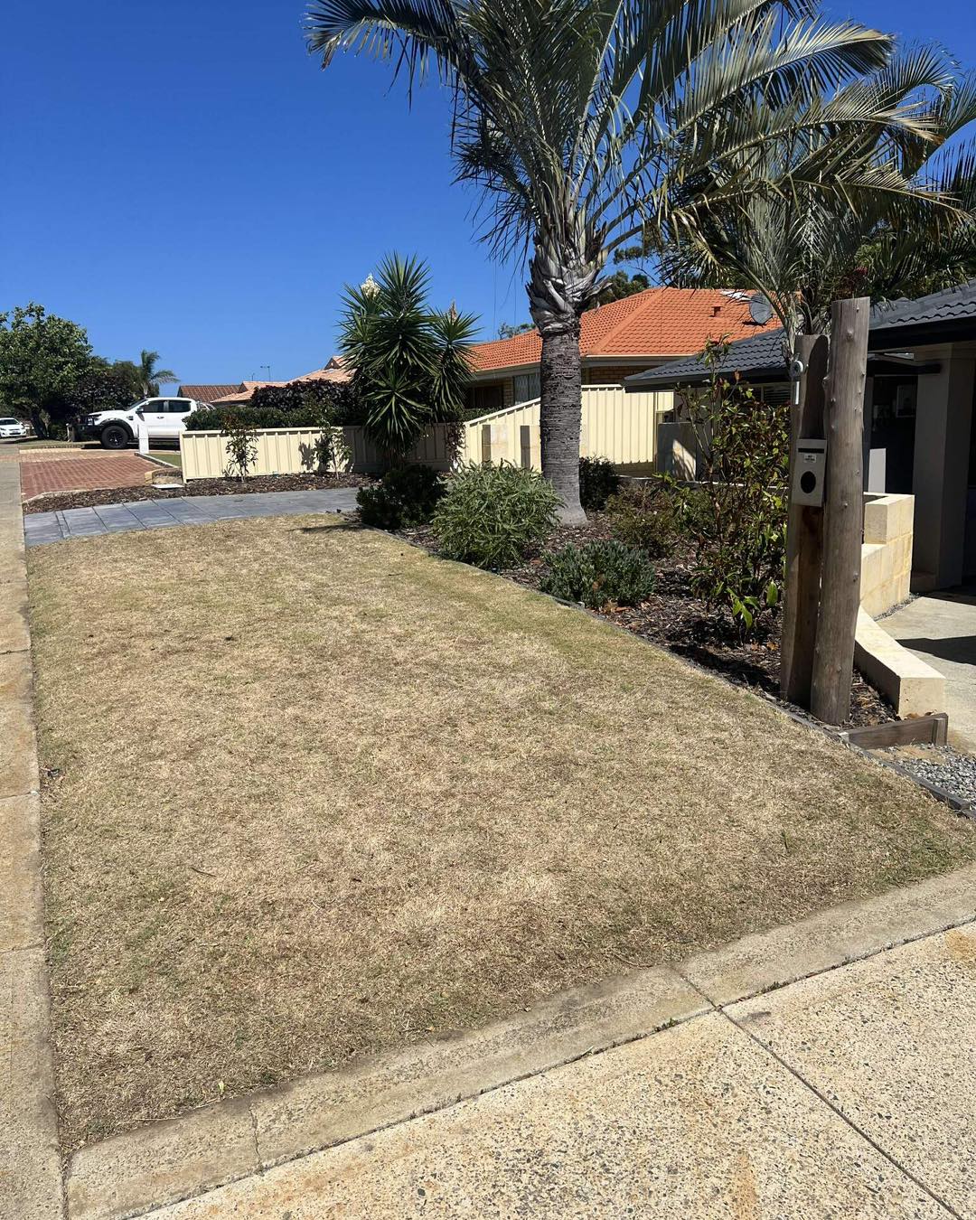 Before lawn treatment